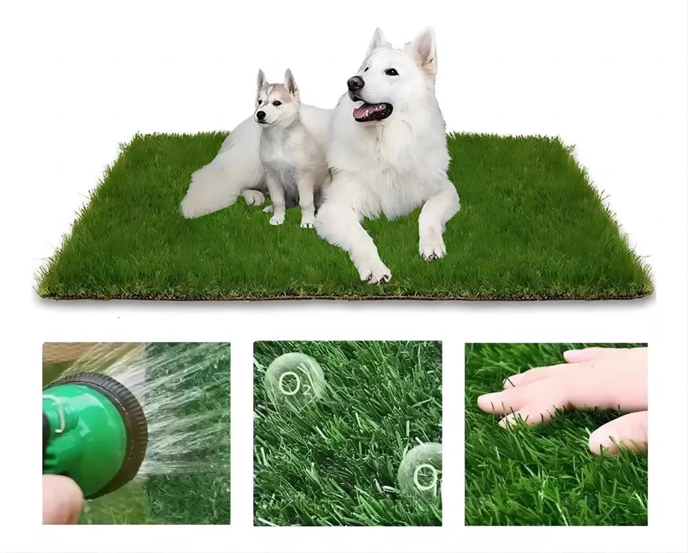 Potty Patch™ Baño ecológico para mascotas
